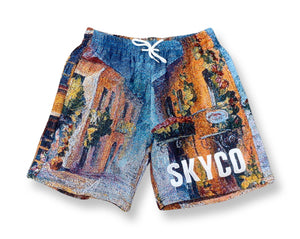 PAINTER SHORTS